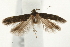  ( - UKLB29H11)  @12 [ ] CreativeCommons - Attribution (2009) Unspecified Centre for Biodiversity Genomics