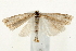  ( - UKLB31B06)  @13 [ ] CreativeCommons - Attribution (2009) Unspecified Centre for Biodiversity Genomics