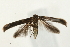 ( - UKLB31B07)  @12 [ ] CreativeCommons - Attribution (2009) Unspecified Centre for Biodiversity Genomics