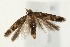  ( - UKLB31B09)  @13 [ ] CreativeCommons - Attribution (2009) Unspecified Centre for Biodiversity Genomics