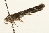  ( - UKLB31D06)  @11 [ ] CreativeCommons - Attribution (2009) Unspecified Centre for Biodiversity Genomics