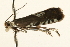  ( - UKLB31G08)  @12 [ ] CreativeCommons - Attribution (2009) Unspecified Centre for Biodiversity Genomics