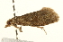  ( - UKLB31G11)  @12 [ ] CreativeCommons - Attribution (2009) Unspecified Centre for Biodiversity Genomics