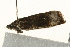  ( - UKLB31H09)  @12 [ ] CreativeCommons - Attribution (2009) Unspecified Centre for Biodiversity Genomics