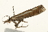  ( - UKLB32A03)  @12 [ ] CreativeCommons - Attribution (2009) Unspecified Centre for Biodiversity Genomics