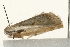  ( - UKLB32A10)  @12 [ ] CreativeCommons - Attribution (2009) Unspecified Centre for Biodiversity Genomics