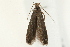  ( - UKLB32B09)  @12 [ ] CreativeCommons - Attribution (2009) Unspecified Centre for Biodiversity Genomics
