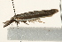 ( - UKLB32B10)  @12 [ ] CreativeCommons - Attribution (2009) Unspecified Centre for Biodiversity Genomics