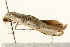  ( - UKLB32G04)  @12 [ ] CreativeCommons - Attribution (2009) Unspecified Centre for Biodiversity Genomics