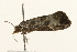  ( - UKLB32G05)  @12 [ ] CreativeCommons - Attribution (2009) Unspecified Centre for Biodiversity Genomics