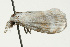  ( - UKLB24E09)  @12 [ ] CreativeCommons - Attribution (2009) Unspecified Centre for Biodiversity Genomics