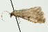  ( - UKLB24G05)  @12 [ ] CreativeCommons - Attribution (2009) Unspecified Centre for Biodiversity Genomics