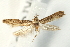  ( - UKLB27C09)  @13 [ ] CreativeCommons - Attribution (2010) Unspecified Centre for Biodiversity Genomics