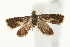  ( - UKLB29H08)  @12 [ ] CreativeCommons - Attribution (2010) Unspecified Centre for Biodiversity Genomics