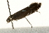  ( - UKLB32B11)  @12 [ ] CreativeCommons - Attribution (2010) Unspecified Centre for Biodiversity Genomics