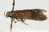  ( - UKLB33A05)  @12 [ ] CreativeCommons - Attribution (2009) Unspecified Centre for Biodiversity Genomics