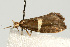  ( - UKLB33A06)  @13 [ ] CreativeCommons - Attribution (2009) Unspecified Centre for Biodiversity Genomics