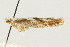  ( - UKLB33A11.fail1)  @11 [ ] CreativeCommons - Attribution (2009) Unspecified Centre for Biodiversity Genomics