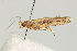  ( - UKLB33A12.fail1)  @11 [ ] CreativeCommons - Attribution (2009) Unspecified Centre for Biodiversity Genomics