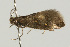  ( - UKLB33B01)  @12 [ ] CreativeCommons - Attribution (2009) Unspecified Centre for Biodiversity Genomics