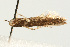  ( - UKLB33B04)  @12 [ ] CreativeCommons - Attribution (2009) Unspecified Centre for Biodiversity Genomics