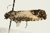  ( - UKLB33B07)  @12 [ ] CreativeCommons - Attribution (2009) Unspecified Centre for Biodiversity Genomics