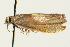  ( - UKLB33B11)  @12 [ ] CreativeCommons - Attribution (2009) Unspecified Centre for Biodiversity Genomics