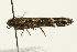  ( - UKLB33C02)  @13 [ ] CreativeCommons - Attribution (2009) Unspecified Centre for Biodiversity Genomics