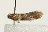  ( - UKLB33C04)  @13 [ ] CreativeCommons - Attribution (2009) Unspecified Centre for Biodiversity Genomics
