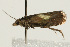  ( - UKLB33C08)  @12 [ ] CreativeCommons - Attribution (2009) Unspecified Centre for Biodiversity Genomics