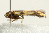  ( - UKLB33D04)  @12 [ ] CreativeCommons - Attribution (2009) Unspecified Centre for Biodiversity Genomics