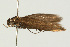  ( - UKLB33D06)  @13 [ ] CreativeCommons - Attribution (2009) Unspecified Centre for Biodiversity Genomics