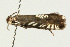  ( - UKLB33D10)  @12 [ ] CreativeCommons - Attribution (2009) Unspecified Centre for Biodiversity Genomics