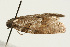  ( - UKLB33E10)  @12 [ ] CreativeCommons - Attribution (2009) Unspecified Centre for Biodiversity Genomics