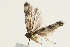  ( - UKLB33F02)  @12 [ ] CreativeCommons - Attribution (2009) Unspecified Centre for Biodiversity Genomics