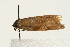  ( - UKLB33F03)  @12 [ ] CreativeCommons - Attribution (2009) Unspecified Centre for Biodiversity Genomics