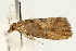  ( - UKLB33F05)  @13 [ ] CreativeCommons - Attribution (2009) Unspecified Centre for Biodiversity Genomics