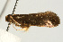  ( - UKLB33F12)  @13 [ ] CreativeCommons - Attribution (2009) Unspecified Centre for Biodiversity Genomics