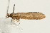 ( - UKLB33G09)  @12 [ ] CreativeCommons - Attribution (2009) Unspecified Centre for Biodiversity Genomics