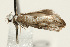  ( - UKLB33G10)  @12 [ ] CreativeCommons - Attribution (2009) Unspecified Centre for Biodiversity Genomics