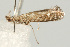  ( - UKLB33G12)  @12 [ ] CreativeCommons - Attribution (2009) Unspecified Centre for Biodiversity Genomics