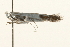  ( - UKLB32G12)  @12 [ ] CreativeCommons - Attribution (2009) Unspecified Centre for Biodiversity Genomics