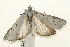  ( - UKLB34B03)  @11 [ ] CreativeCommons - Attribution (2009) Unspecified Centre for Biodiversity Genomics