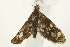 ( - UKLB34B05)  @13 [ ] CreativeCommons - Attribution (2009) Unspecified Centre for Biodiversity Genomics