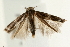  ( - UKLB34C10)  @11 [ ] CreativeCommons - Attribution (2009) Unspecified Centre for Biodiversity Genomics
