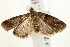  ( - UKLB34D10)  @14 [ ] CreativeCommons - Attribution (2009) Unspecified Centre for Biodiversity Genomics