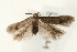  ( - UKLB34E07)  @12 [ ] CreativeCommons - Attribution (2009) Unspecified Centre for Biodiversity Genomics