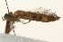  ( - UKLB34E12)  @12 [ ] CreativeCommons - Attribution (2009) Unspecified Centre for Biodiversity Genomics