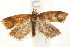  ( - UKLB34F04)  @14 [ ] CreativeCommons - Attribution (2009) Unspecified Centre for Biodiversity Genomics