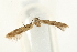  ( - UKLB34F06)  @11 [ ] CreativeCommons - Attribution (2009) Unspecified Centre for Biodiversity Genomics